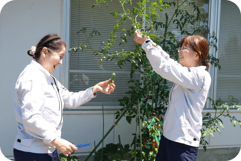 プレパックの工場